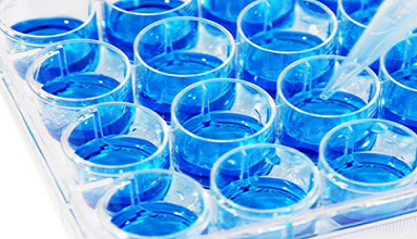 Primary Antibodies