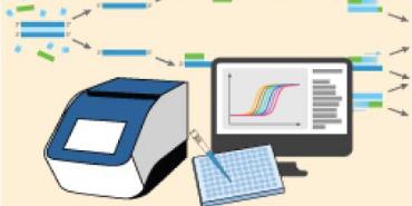 Introduction to PCR