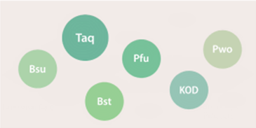 Introduction to qPCR