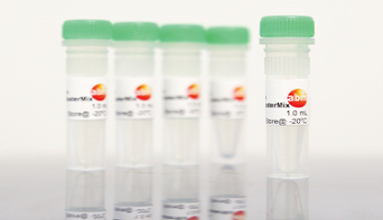 SensiStain™ IHC Antibodies
