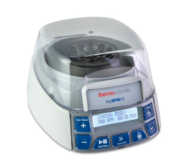 MySpin12